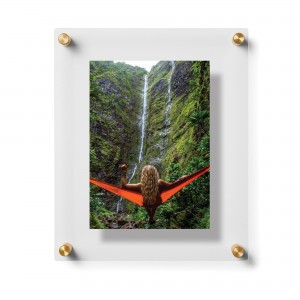 Wexel Art Double Panel Gold Picture Frame WXLA1038
